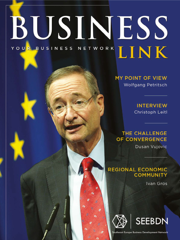 Business Link Magazine No1