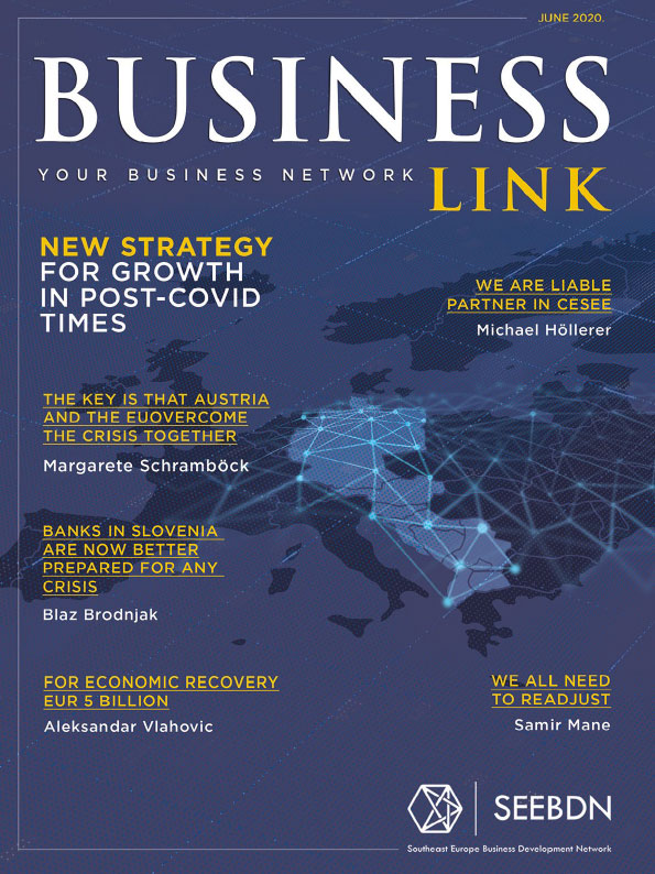 Business Link Magazine No5